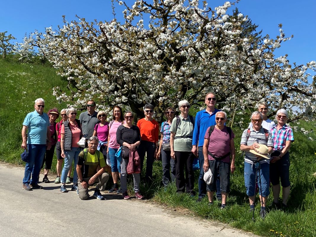 2026 04 Bluetenwanderung01