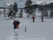 schneeschuh-hderich-jan16018