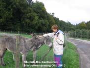 herbstwanderung-okt201309