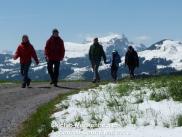 appenzell-mai201212