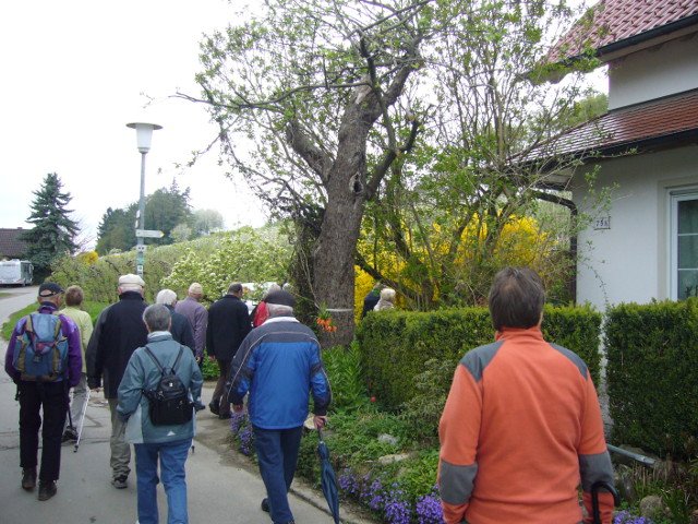 Blütenfahrt 2013