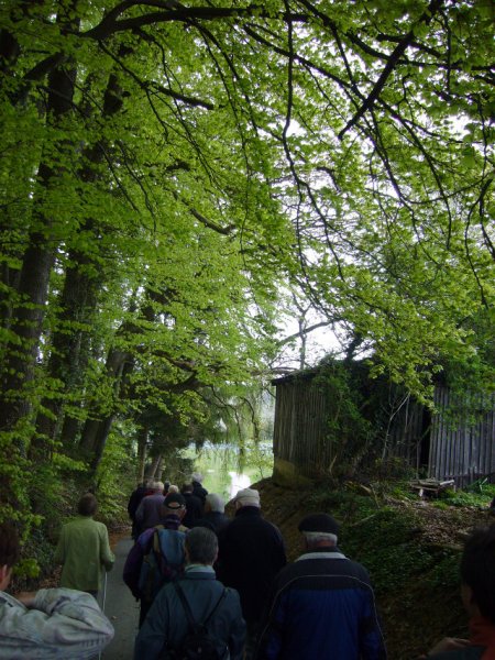 Blütenfahrt 2013