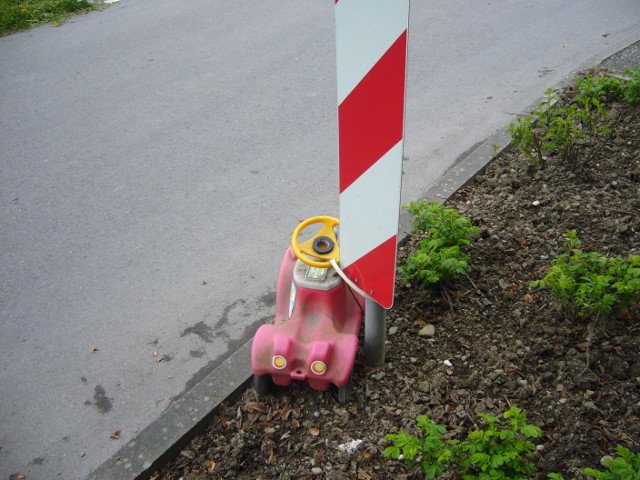 Blütenfahrt 2013